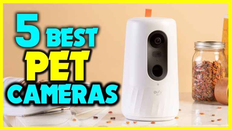 The Best Pet Cameras of 2024